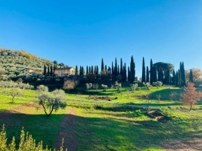 Montecatini Sunrise